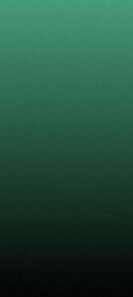 adapted 1080x2408 1759930009