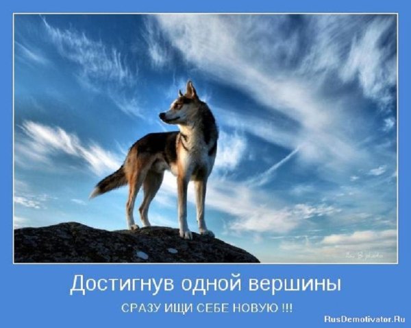 Достигнув одной вершины, ищи себе новую...