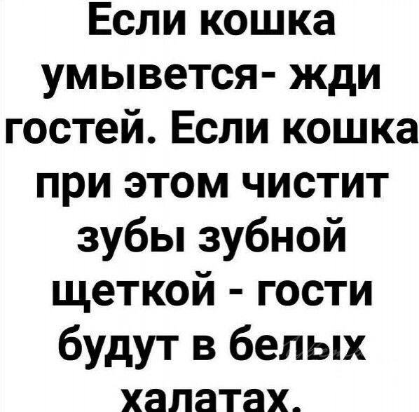 IMG 20260318 094048 259