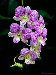 file_6200947