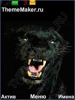 ЧЁРНАЯ КОШКА