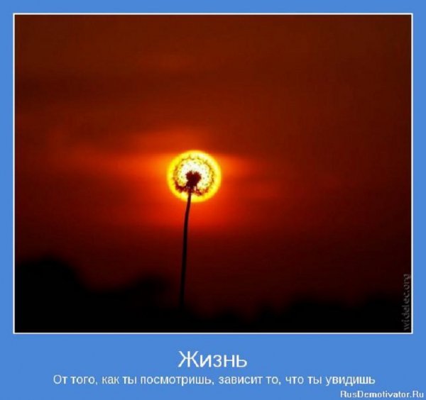 ЖИЗНЬ