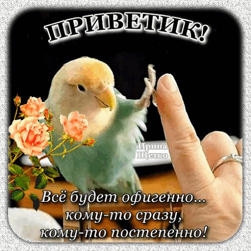 Анимированная открытка приветик (2)