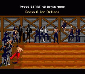 Pit Fighter