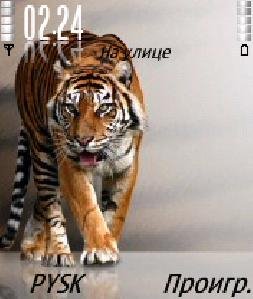 Animals ip by PAYK 5 1