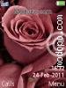 Eternal Rose