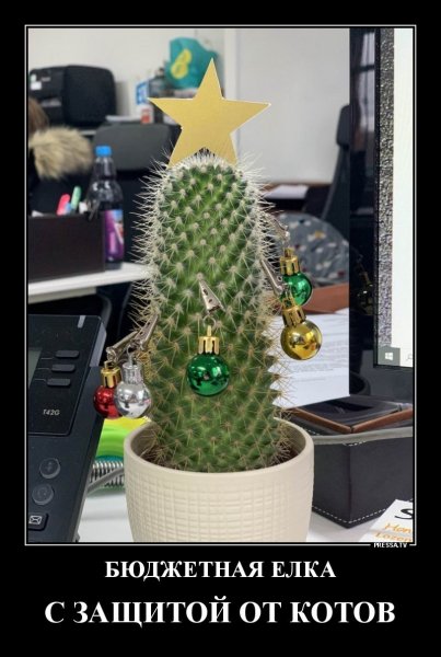 Бюджетная ёлка...