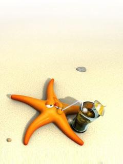 ЗВЕЗДА НА ПЛЯЖЕ