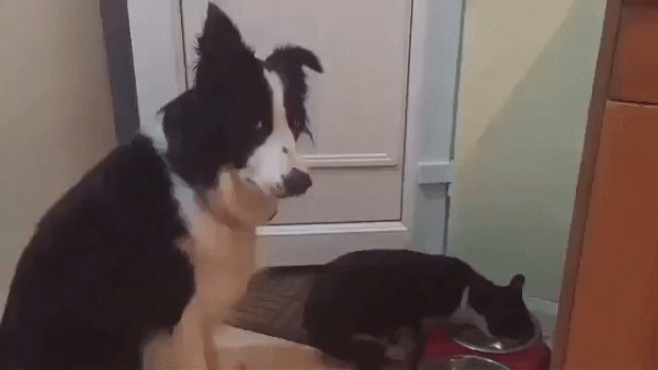 Эй хватит!!!Мне оставь я тоже есть хочу)))))