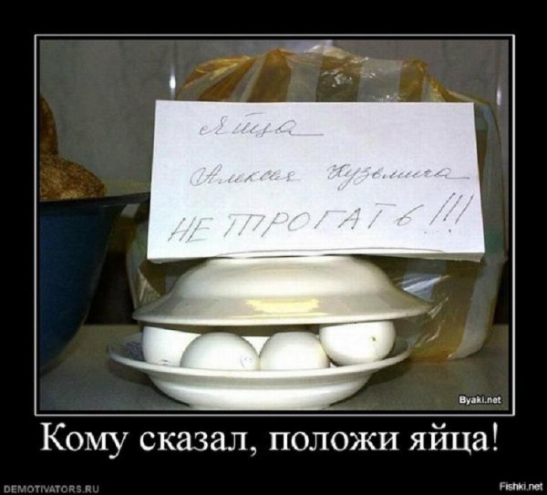 Кому сказал положи яйца