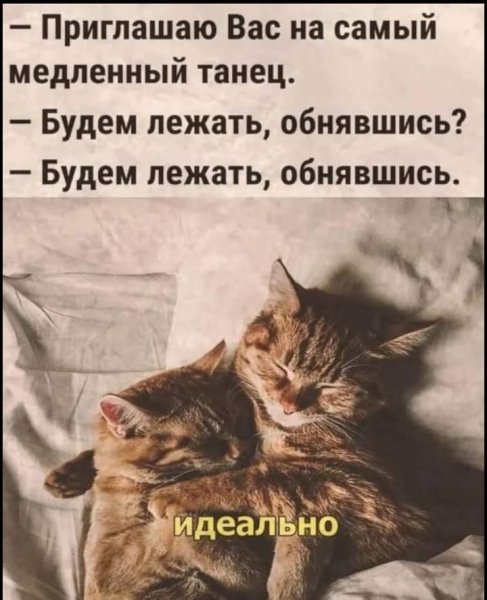 FB IMG 1726668629800
