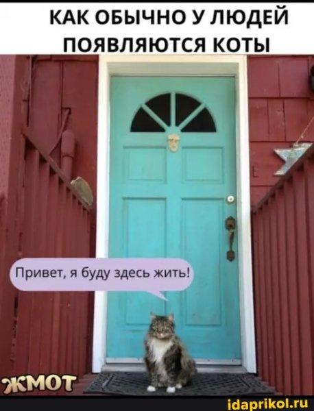 F1e7acc4e397162e01140e268d8b455da12c3954fca 1