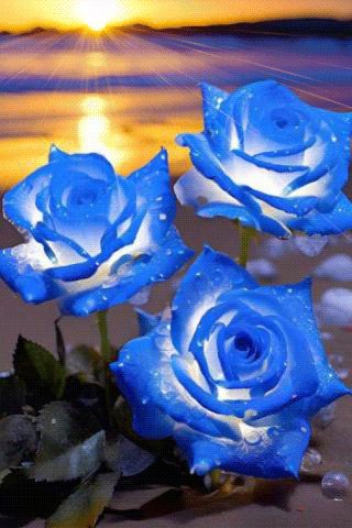 file_94529697