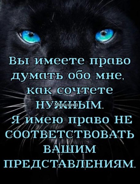 file_100921547