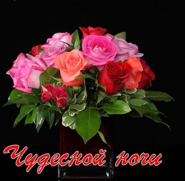 MOVGAHgMPpU