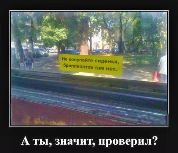 file_102657565