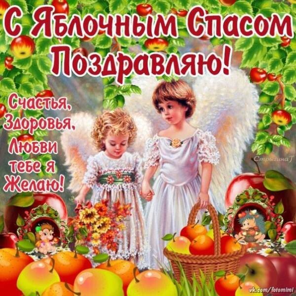 image (17)