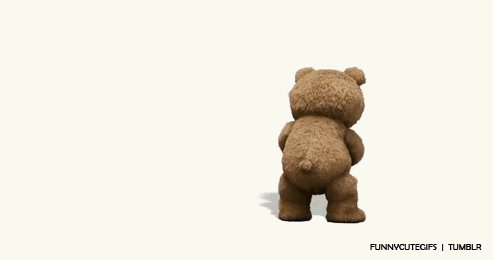 гифки-медведь-показалось-TED-241612