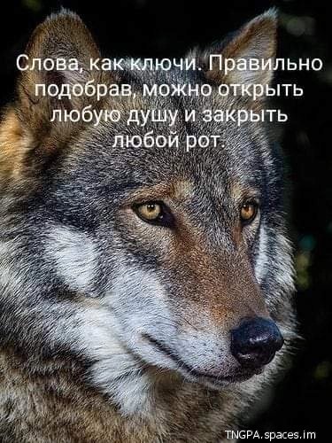 J5JtZhVMEm4t0n2fXIevVR