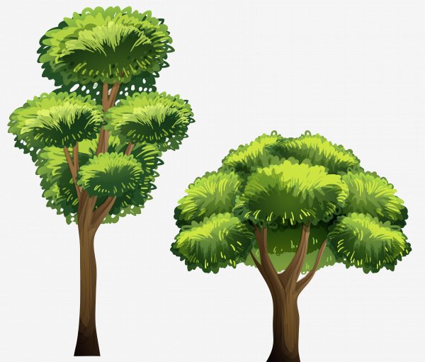 0-1.tree.tree.clipart