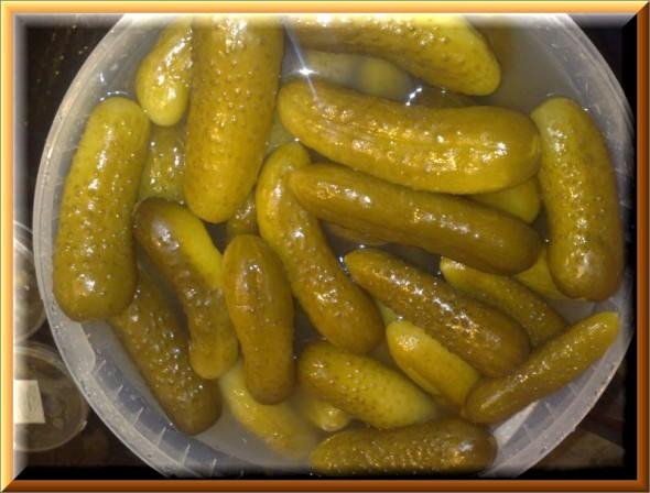 Секреты засолки огурцов