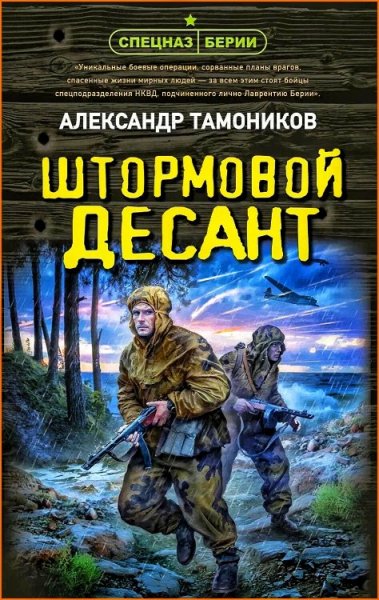 Штормовой десант