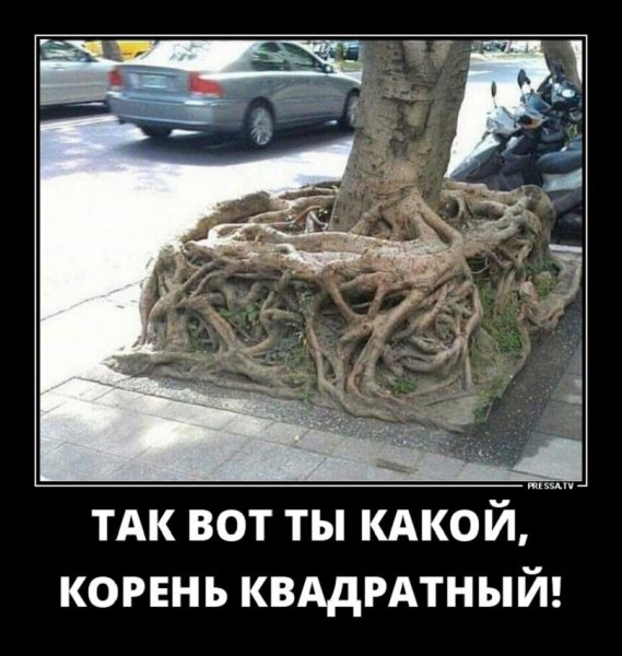 Так вот ты какой корень квадратный