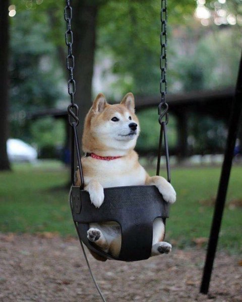 Любимые Качельки