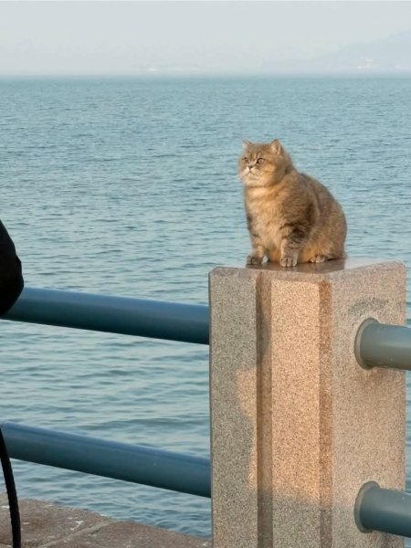 FB IMG 1774586858504