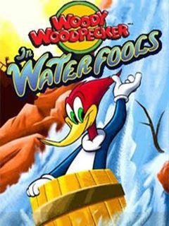 woody woodpecker in waterfools