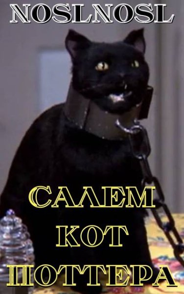 Салем кот Поттера