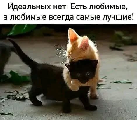 FB IMG 1774510887705