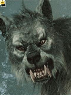 Werewolf оборотень анимация