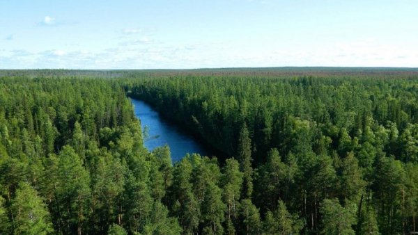 file_81764541