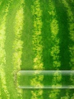 Watermelon4.9