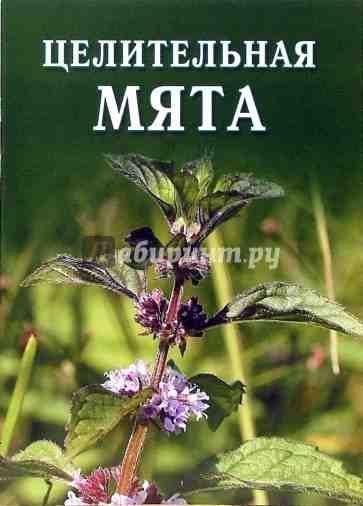 Целительная мята