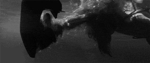 tumblr n2l7gd7S3y1snfw7co1 500