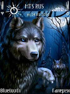 file_5039949