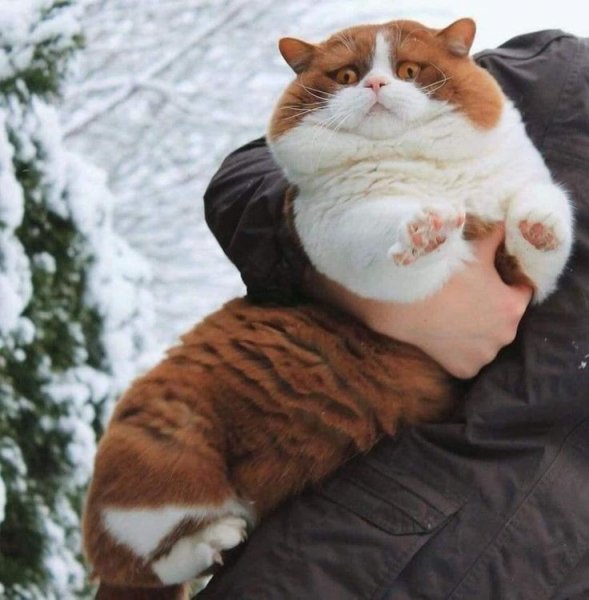 A67b0771746dfac51fdb750984074dc2