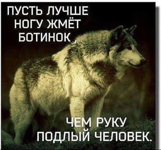 image--1