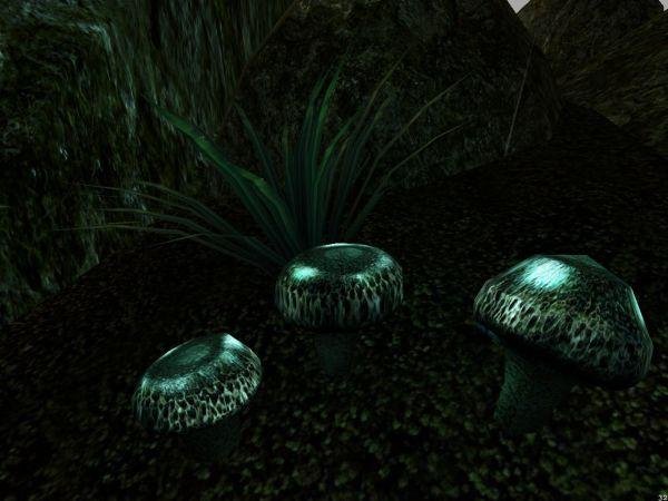 Морровид - реалистичный сбор растений, грибов и прочего мод