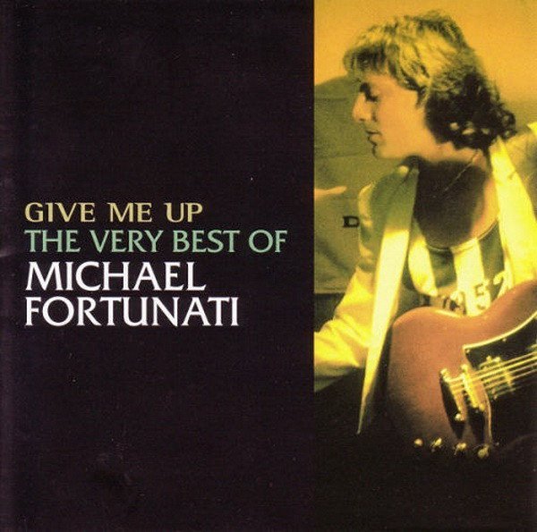 Michael Fortunati - Into The Night