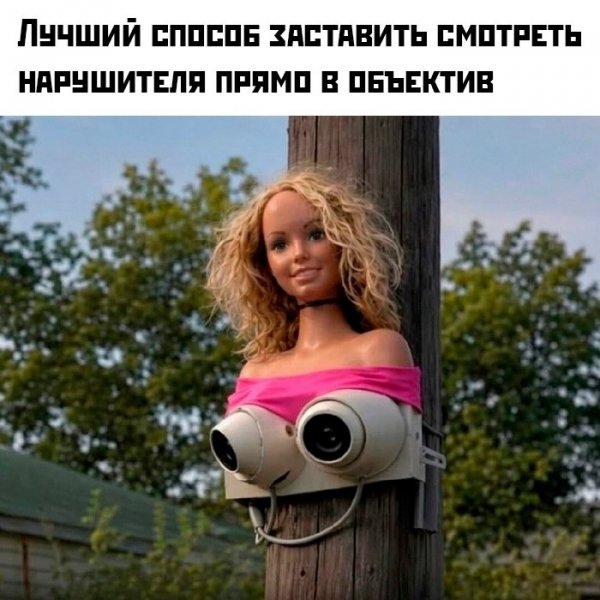 YhgWdcZcVj