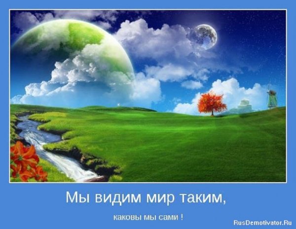 Мы видим мир таким...