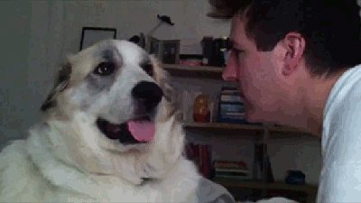 Как дам