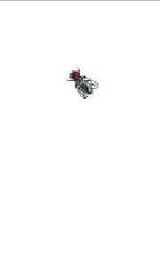 efly