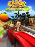 Crash Bandicoot Nitro Kart 3D