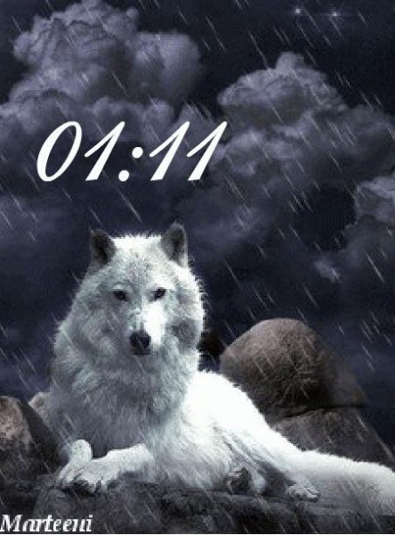 Белый волк (Marteeni)