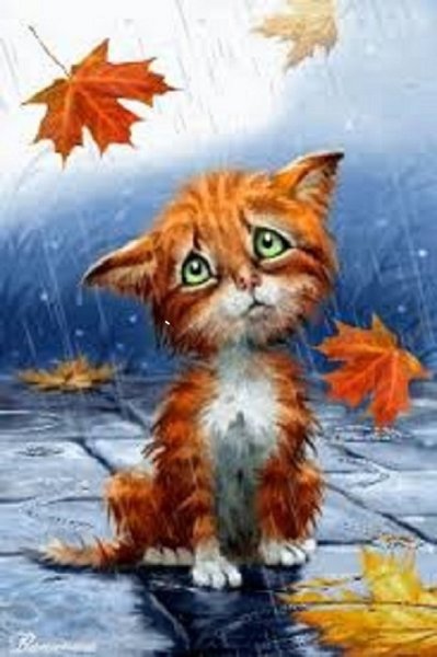 Котёнок под дождём