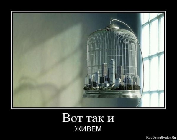 Вот так и живём